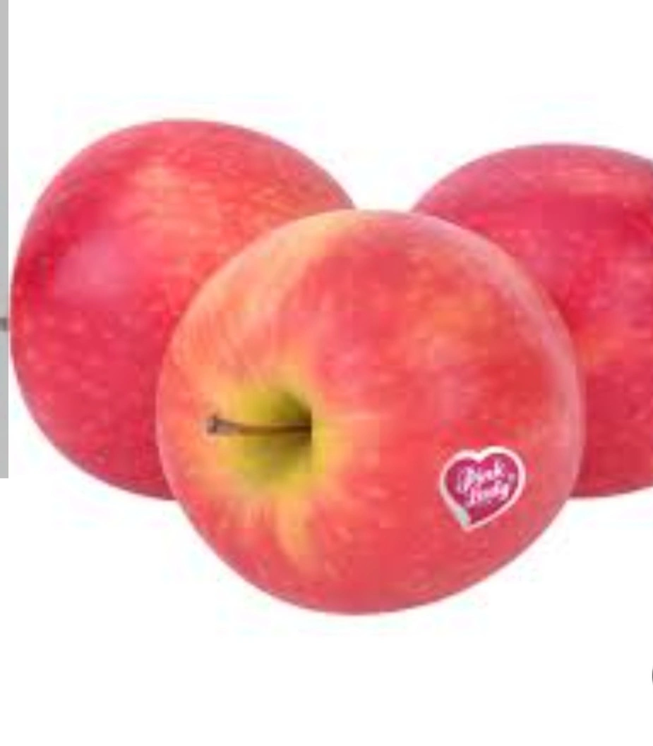 תפוח פינק ליידי