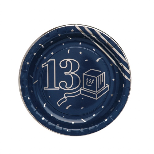 צלחות נייר מהודרות בר מצווה 13 כסף מטאלי 10 יח’
