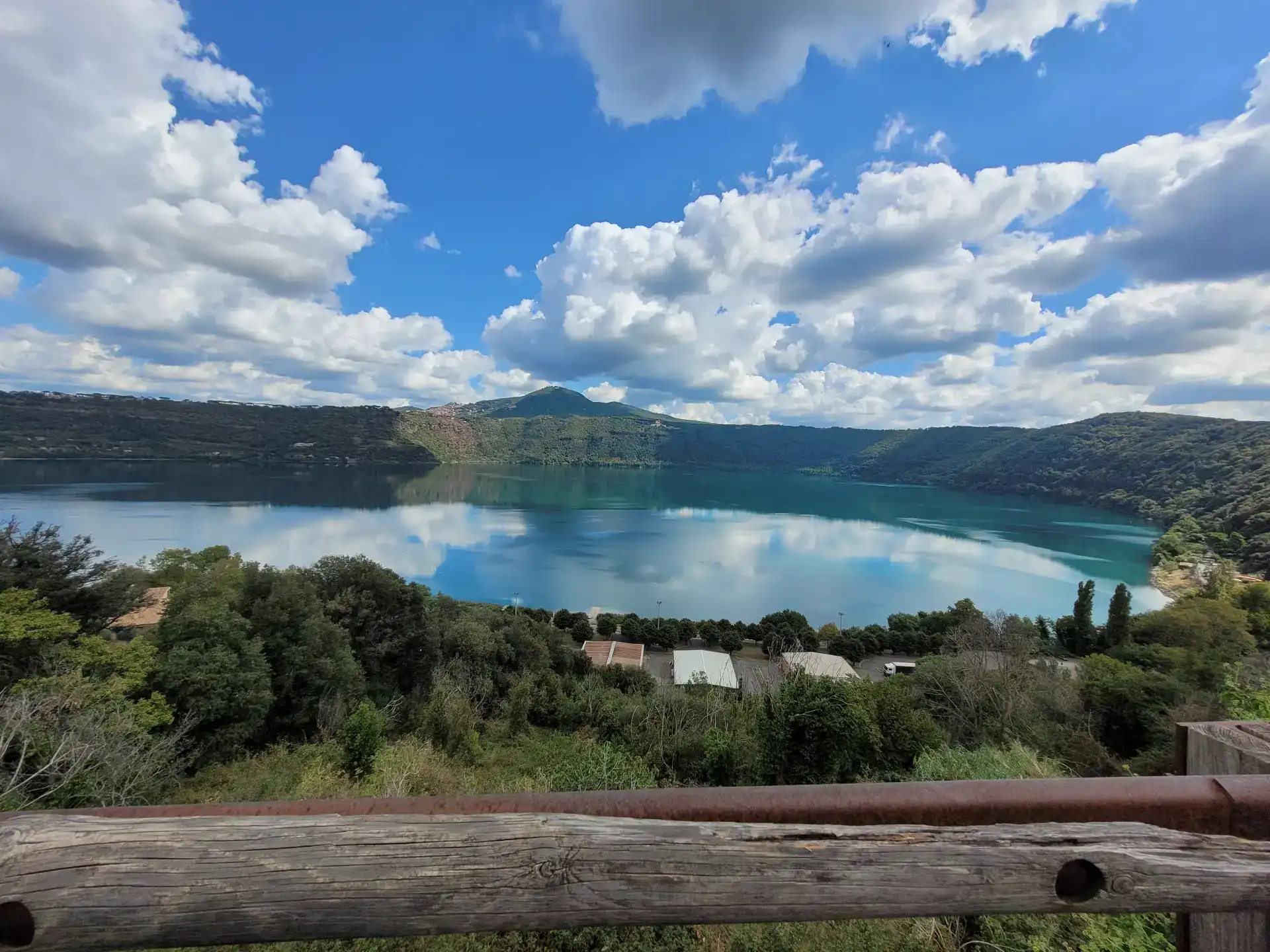 מפגשים משולבים NLP וכלבנות טיפולית | דניאל מנשה