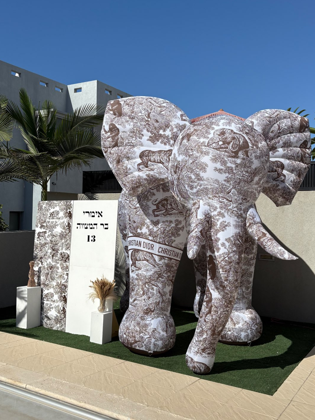 קיר צילום פיל דיור חום