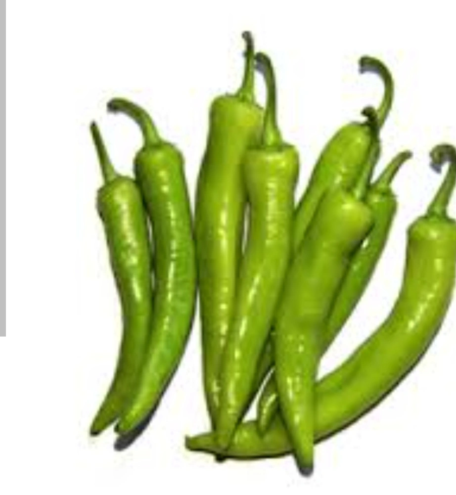 פלפל ירוק חריף