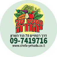hashefa