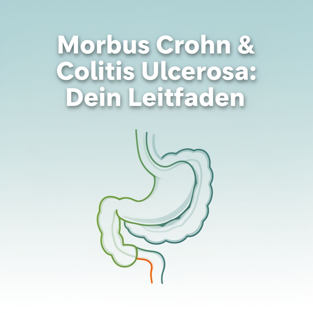 Morbus Crohn & Colitis Ulcerosa: Dein Leitfaden