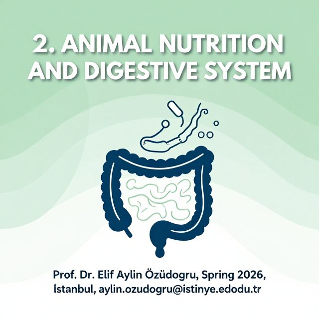 Animal Nutrition and Digestive Systems
