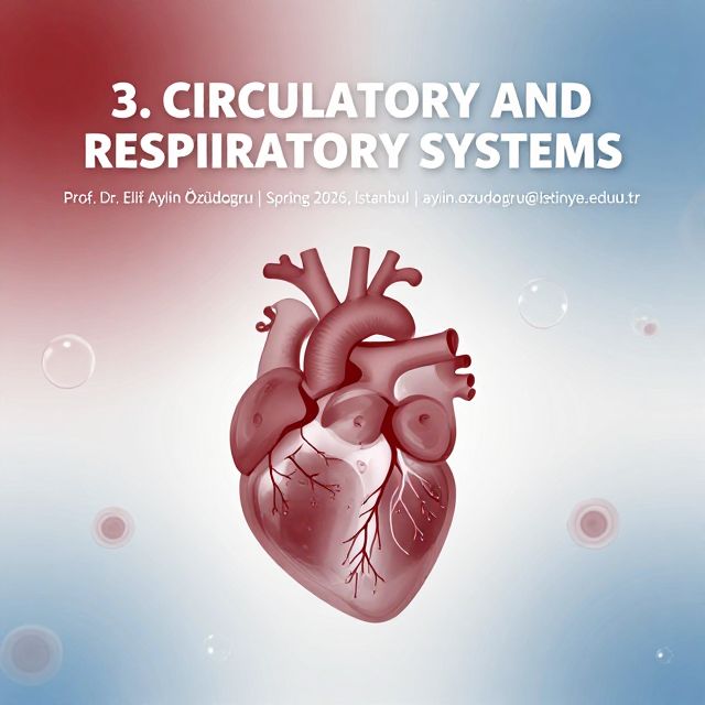 Human Circulatory and Respiratory Systems