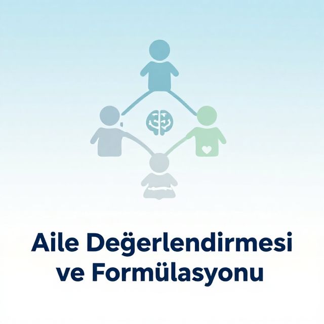 Aile Değerlendirmesi ve Formülasyonu