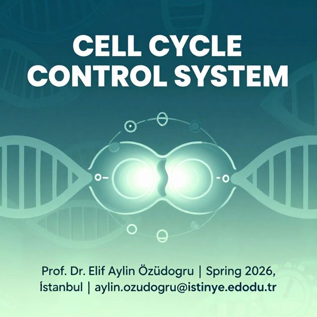 The Cell Cycle Control System Explained