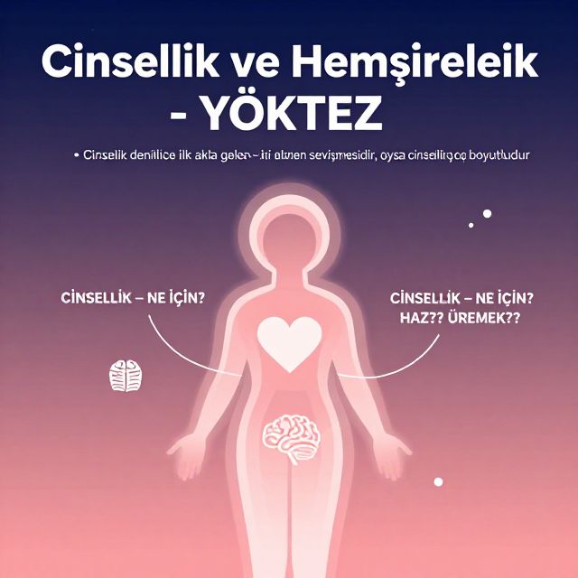 Cinselliğin Çok Boyutluluğu ve Tarihsel Araştırmaları