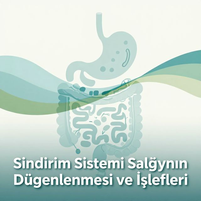 Sindirim Sistemi Salgılarının Düzenlenmesi ve İşlevleri