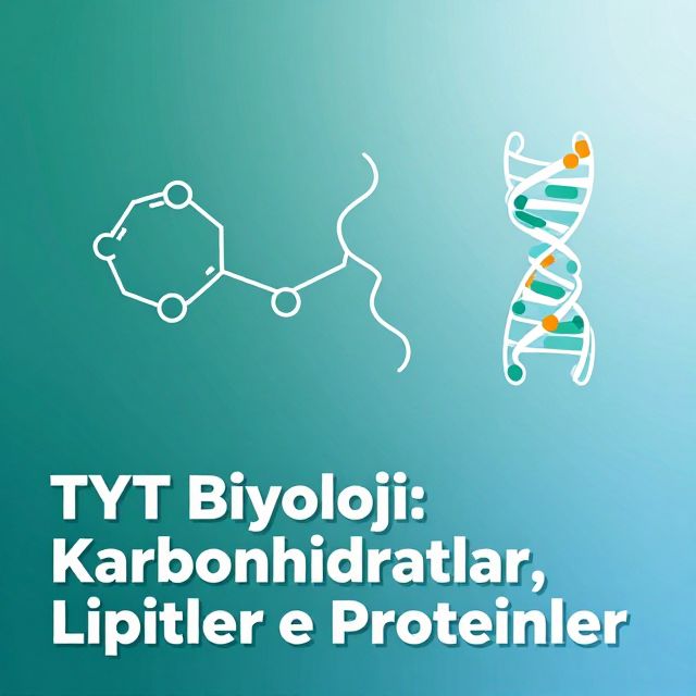 TYT Biyoloji: Karbonhidratlar, Lipitler ve Proteinler