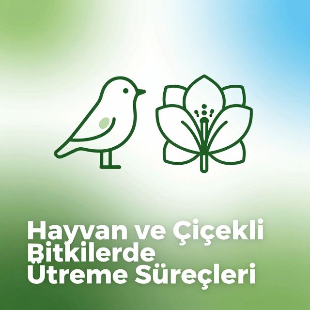 Hayvan ve Çiçekli Bitkilerde Üreme Süreçleri