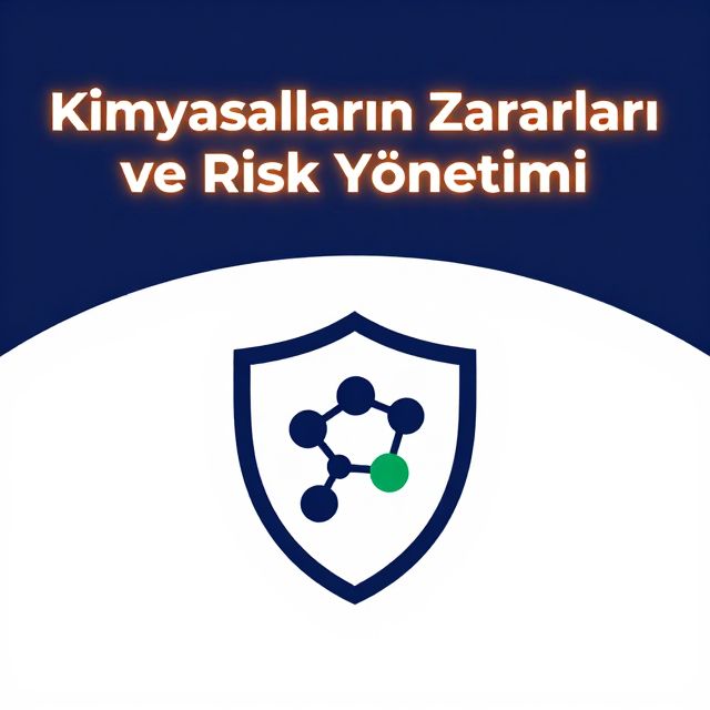 Kimyasalların Zararları ve Risk Yönetimi