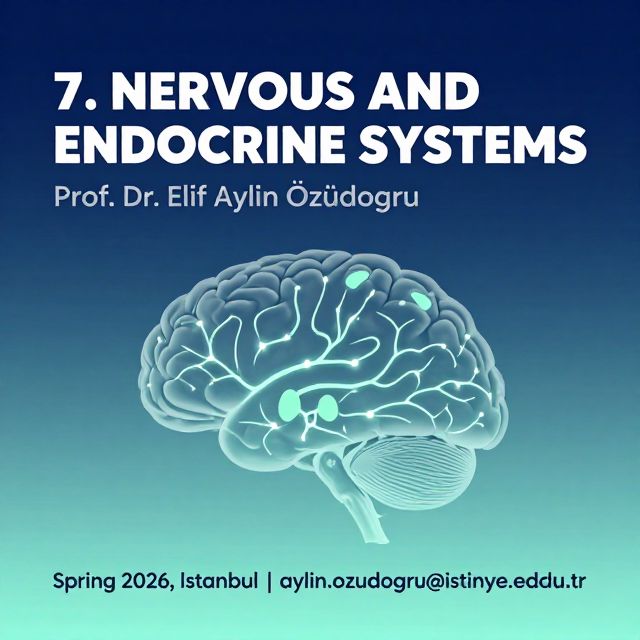 The Nervous and Endocrine Systems: Body's Control Centers