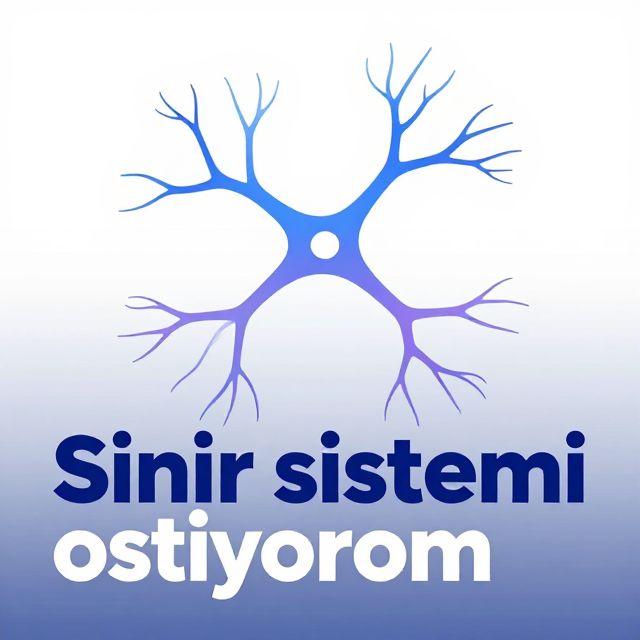 Sinir Sistemi: Vücudumuzun İletişim Ağı