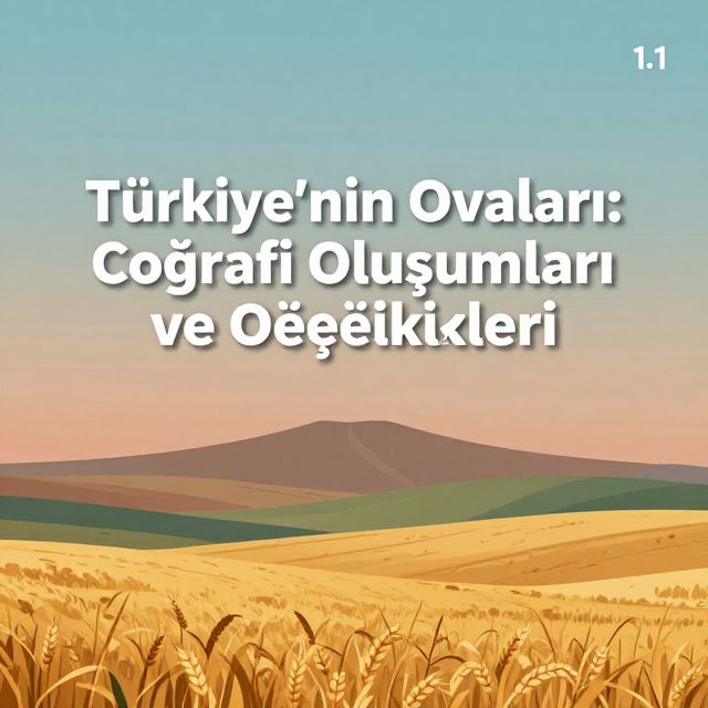 Türkiye'nin Ovaları: Coğrafi Oluşumları ve Özellikleri