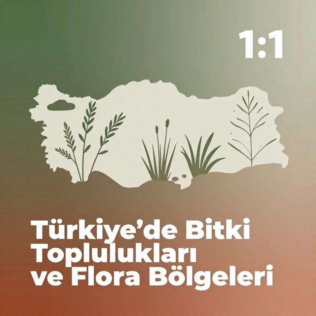 Türkiye'deki Bitki Toplulukları ve Flora Bölgeleri