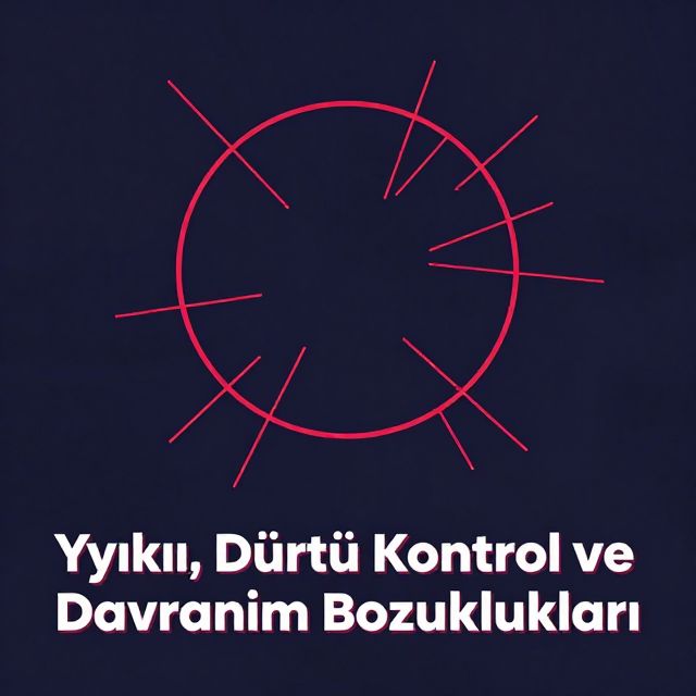 Yıkıcı, Dürtü Kontrol ve Davranım Bozuklukları