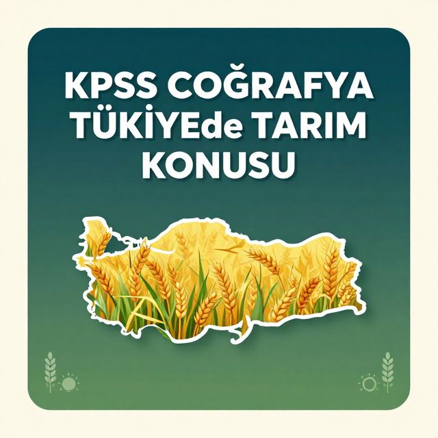 KPSS Coğrafya: Türkiye'de Tarım Rehberi