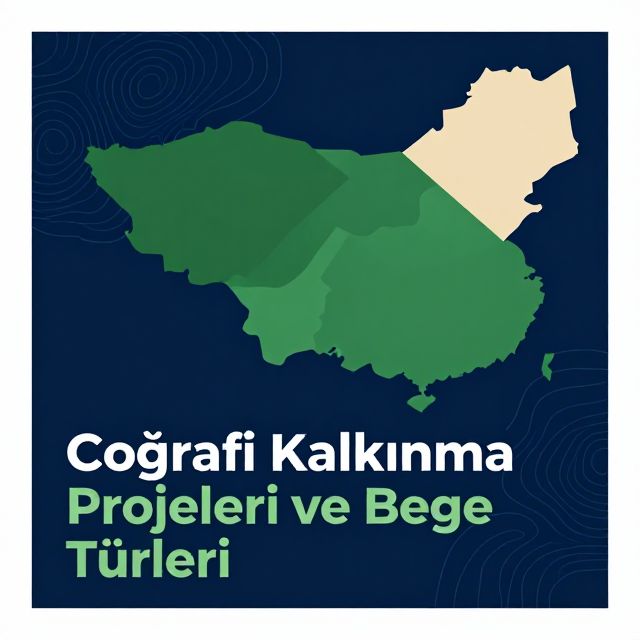 Coğrafi Kalkınma Projeleri ve Bölge Türleri