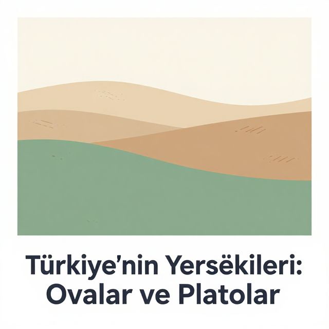 Türkiye'nin Yerşekilleri: Ovalar ve Platolar