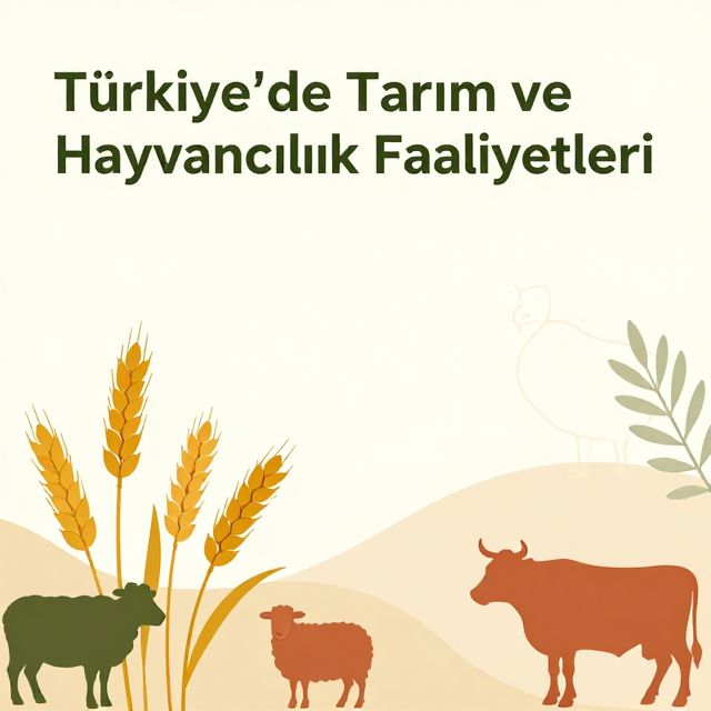 Türkiye'de Tarım ve Hayvancılık Faaliyetleri