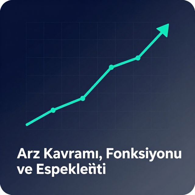 Arz Kavramı, Fonksiyonu ve Esnekliği