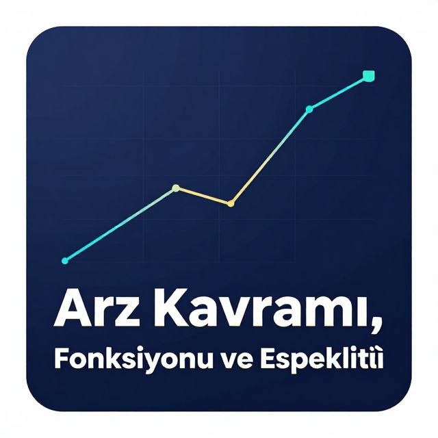 Arz Kavramı, Fonksiyonu ve Esnekliği