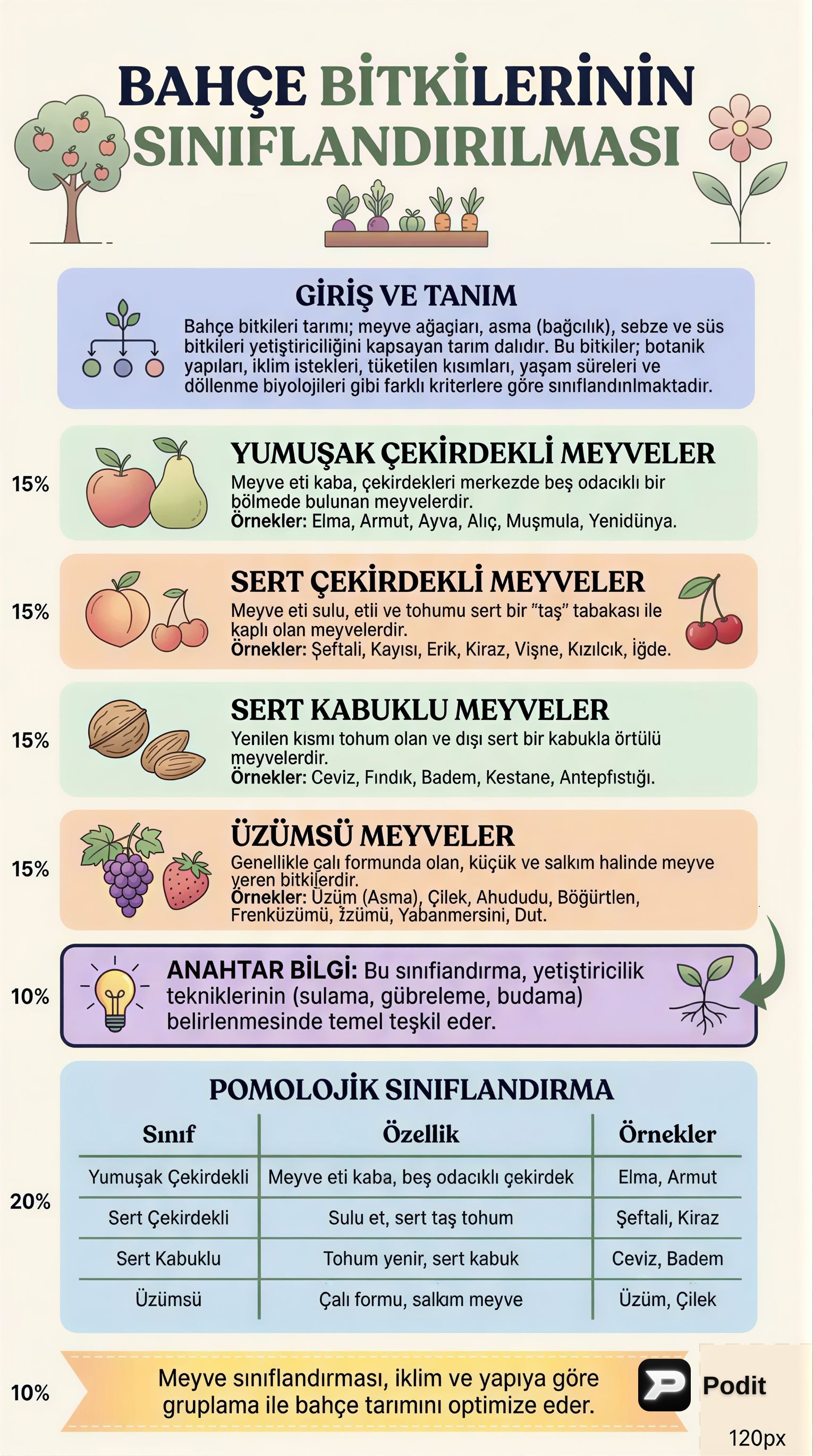 Bahçe Bitkileri: Sınıflandırma, Çoğaltma ve Ekolojik İstekler - görsel özet infografik