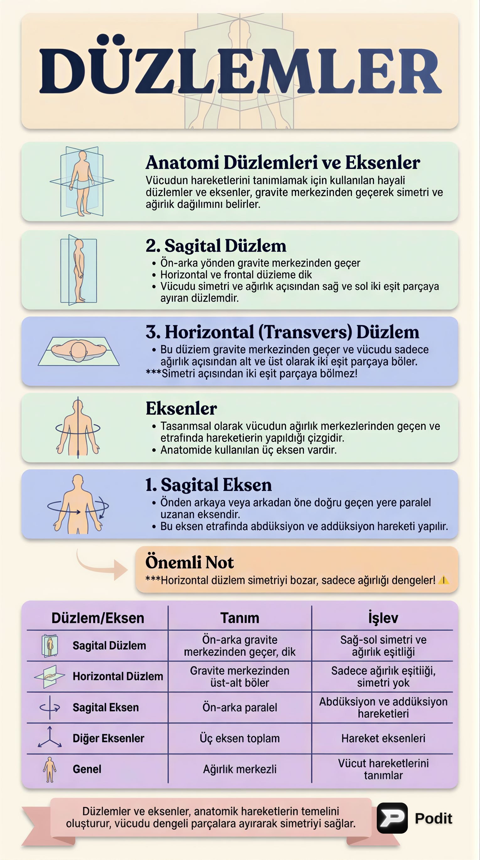 Anatomik Düzlemler ve Eksenler: Vücut Hareketlerinin Temelleri - görsel özet infografik