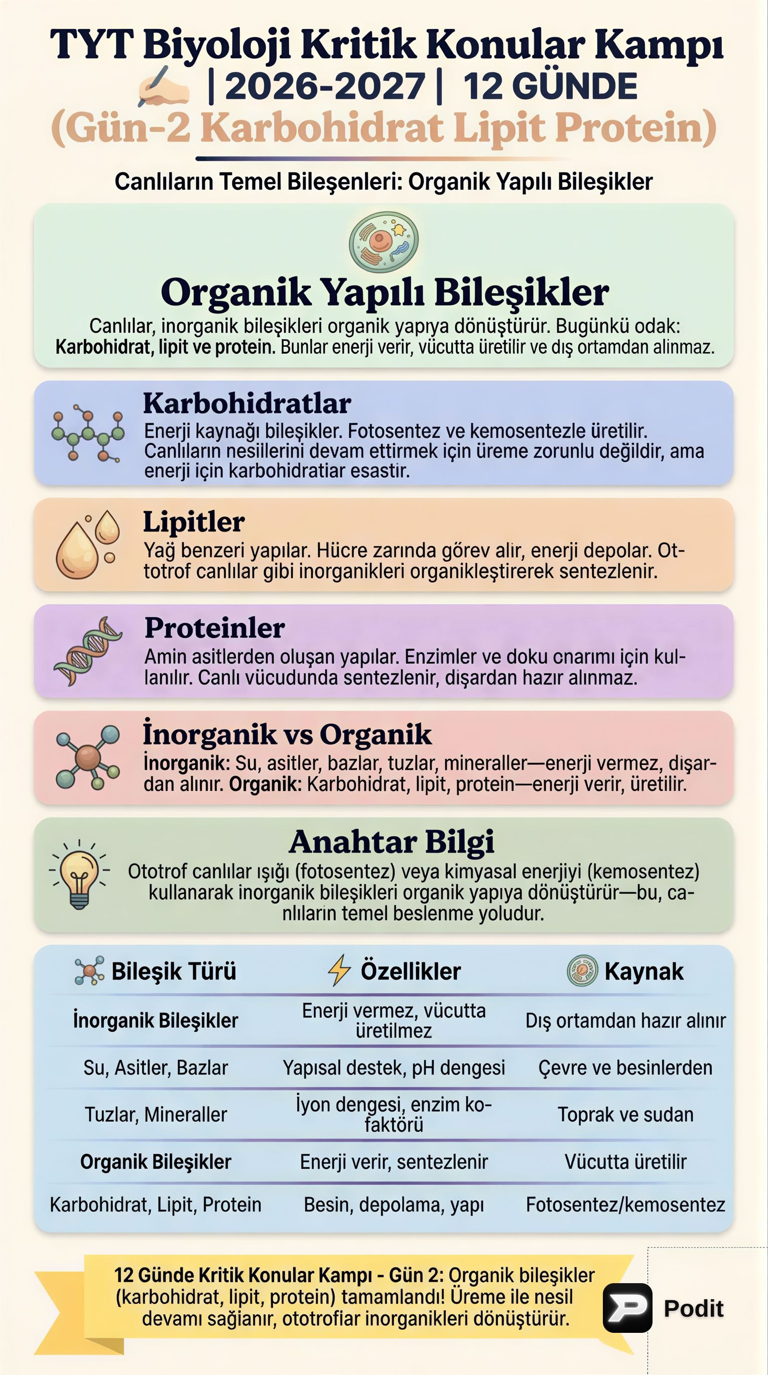 TYT Biyoloji: Karbonhidratlar, Lipitler ve Proteinler - görsel özet infografik