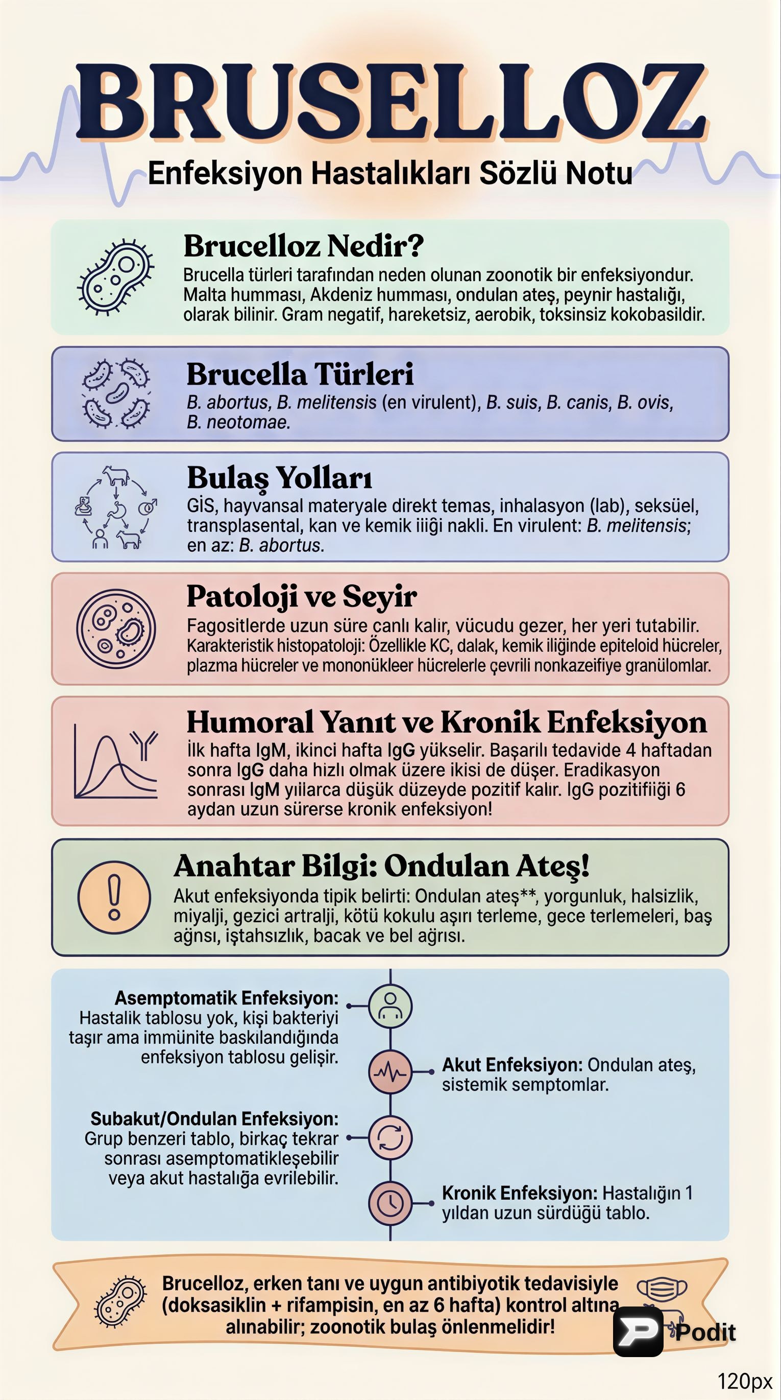 Enfeksiyon Hastalıkları: Tanı, Tedavi ve Korunma - görsel özet infografik