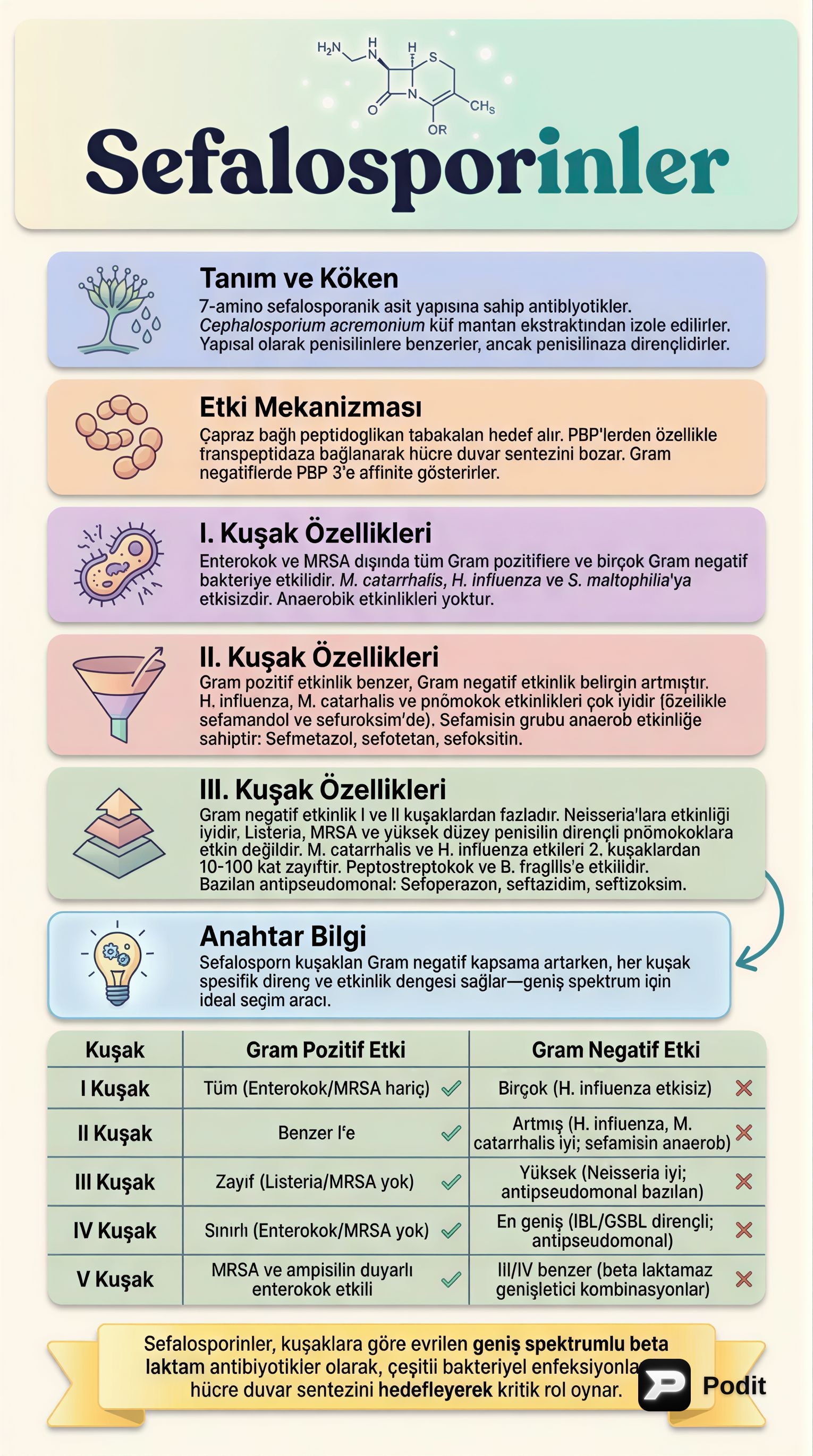 Antibiyotik Sınıflarına Genel Bakış - görsel özet infografik