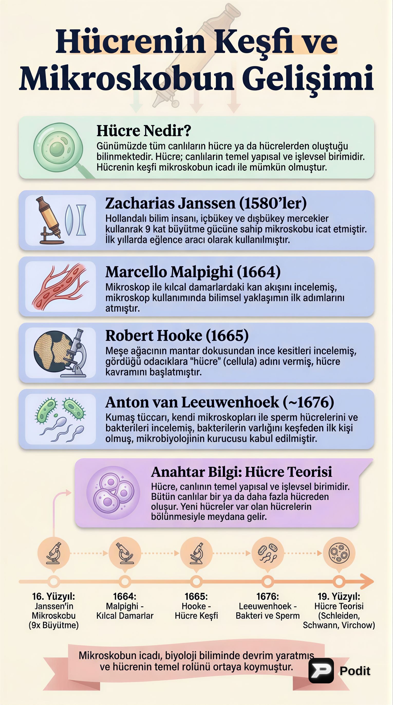 Hücre: Yapısı, Organelleri ve Madde Geçişleri - görsel özet infografik