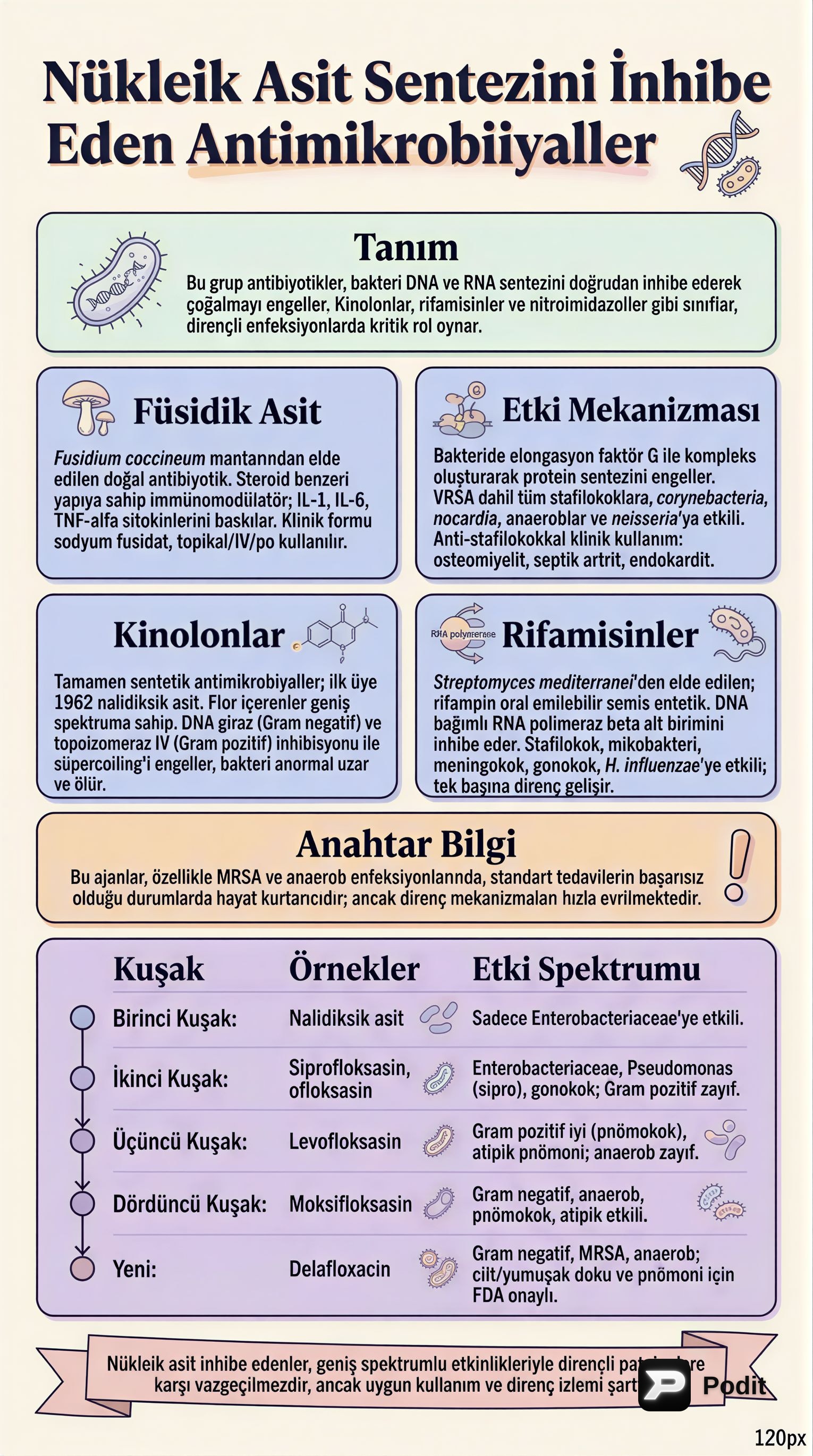 Antimikrobiyal İlaçlar ve Direnç Mekanizmaları - görsel özet infografik