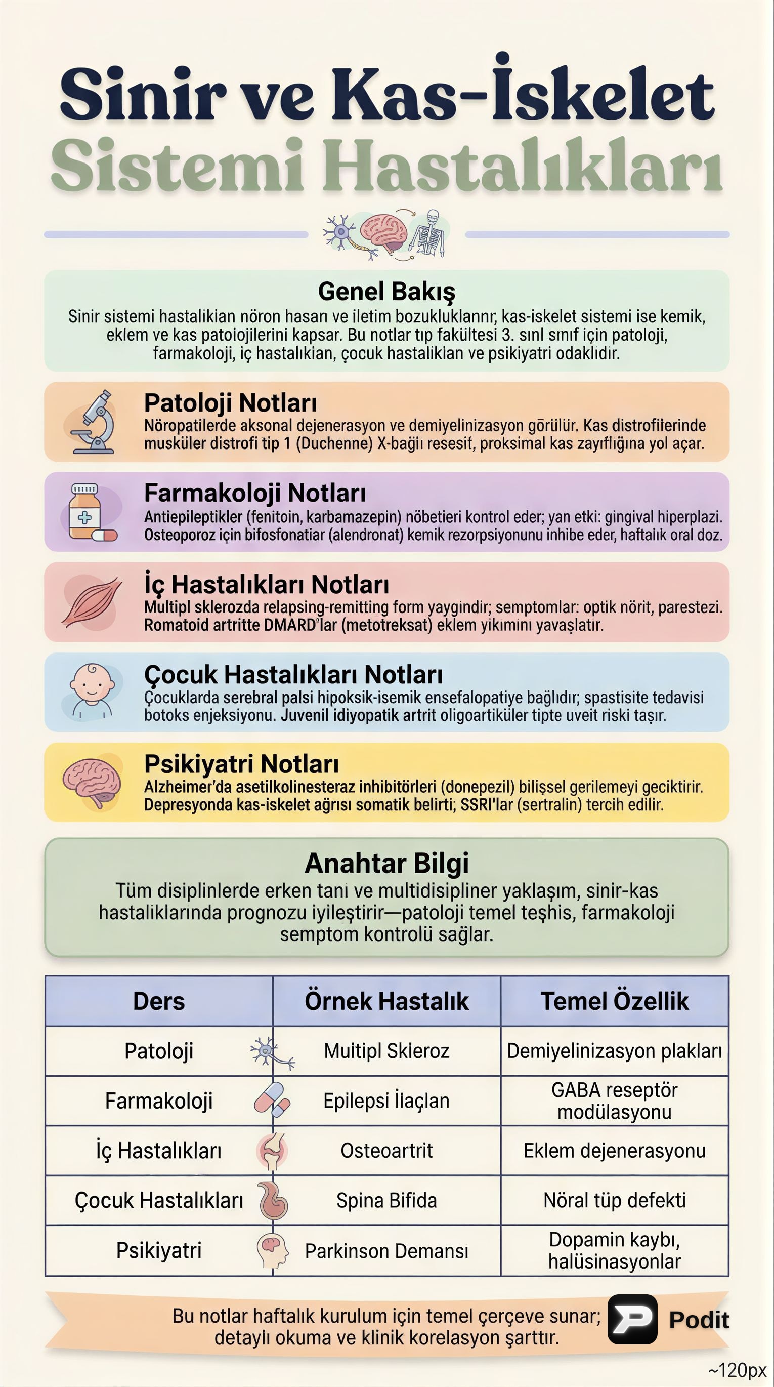 Sinir ve Kas-İskelet Sistemi Hastalıkları: Multidisipliner Yaklaşım - görsel özet infografik