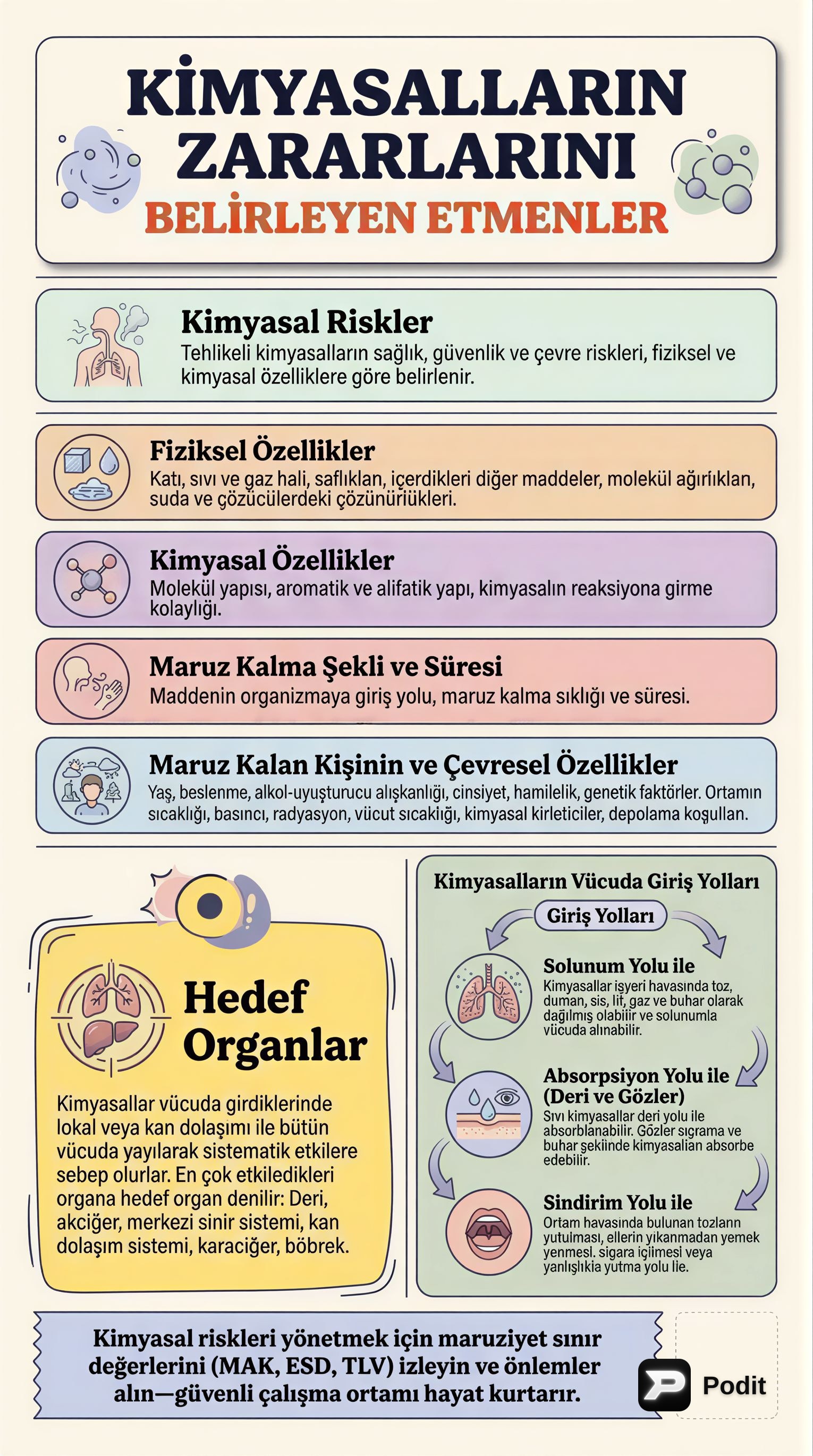 Kimyasalların Zararları ve Risk Yönetimi - görsel özet infografik
