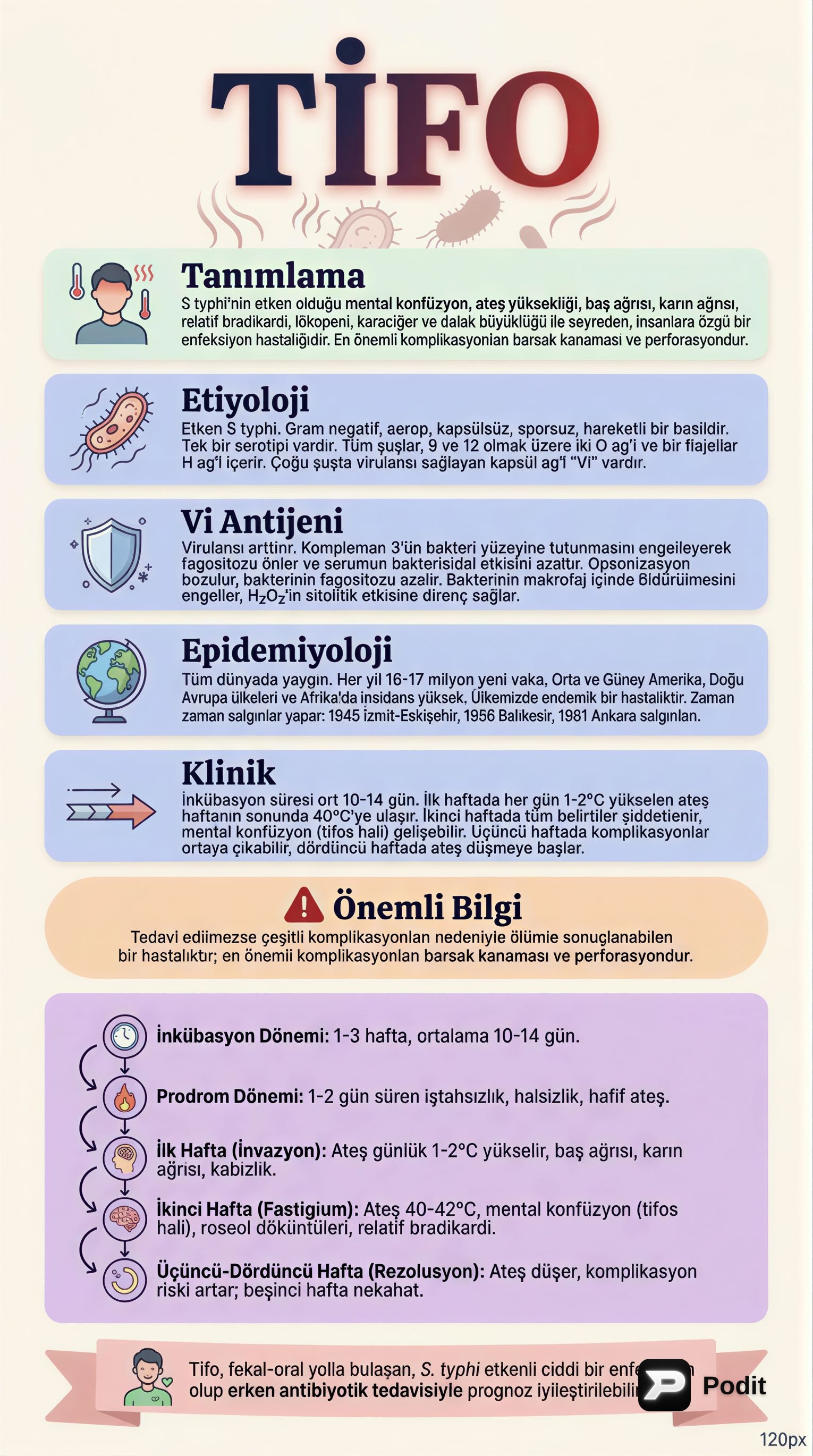 Tifo ve Enterik Ateş: Etiyoloji, Patogenez ve Tedavi - görsel özet infografik
