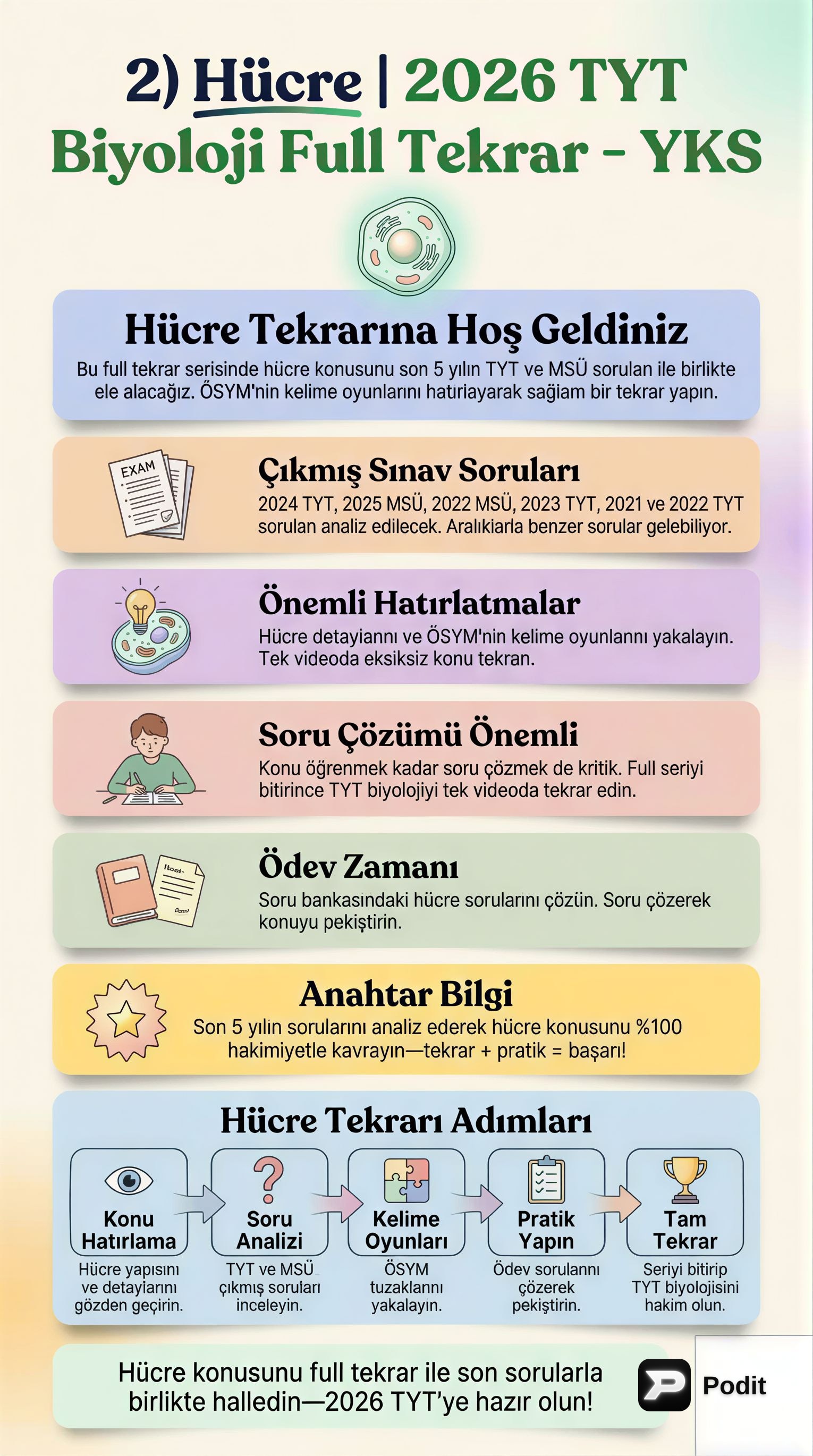 Hücre: Yaşamın Temel Yapı Taşı ve İşlevleri - görsel özet infografik