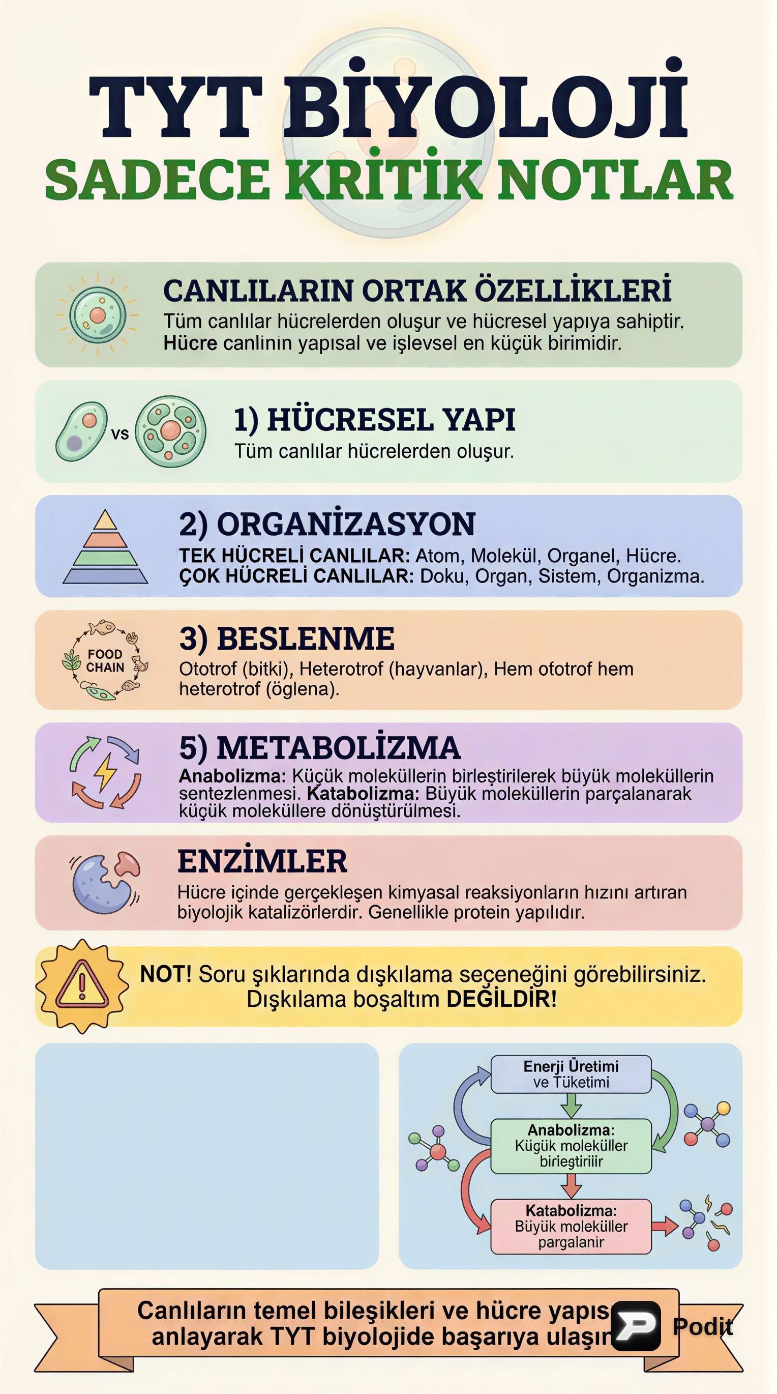 TYT Biyoloji Temel Konularına Genel Bakış - görsel özet infografik