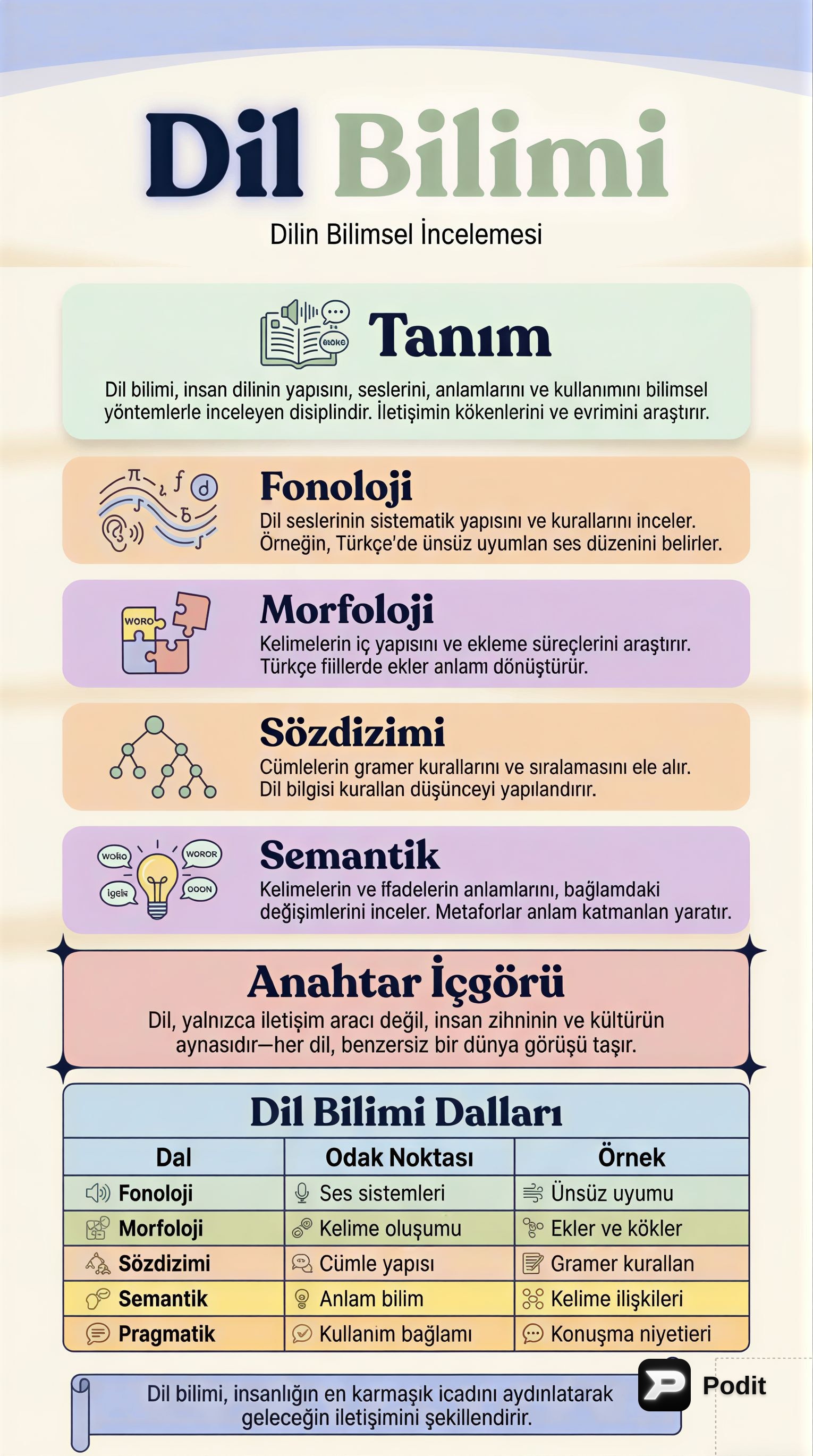 Dil Bilime Giriş ve Temel Kavramlar - görsel özet infografik