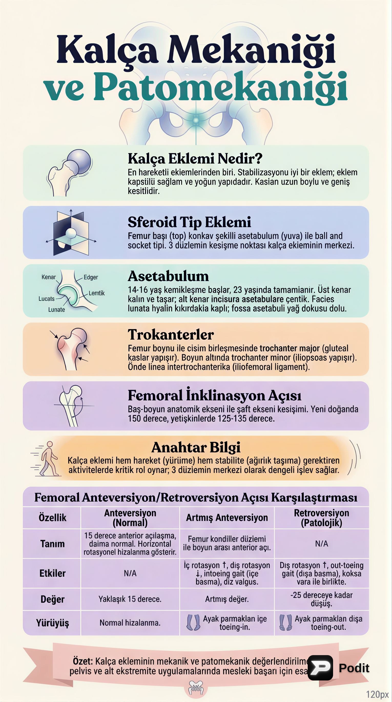 Kalça Mekaniği ve Patomekaniği - görsel özet infografik