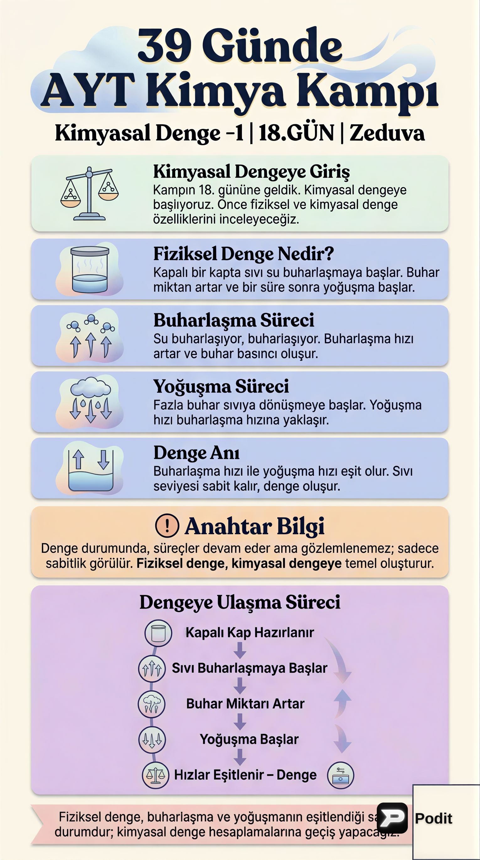 Kimyasal Dengeye Giriş ve Temel İlkeler - görsel özet infografik