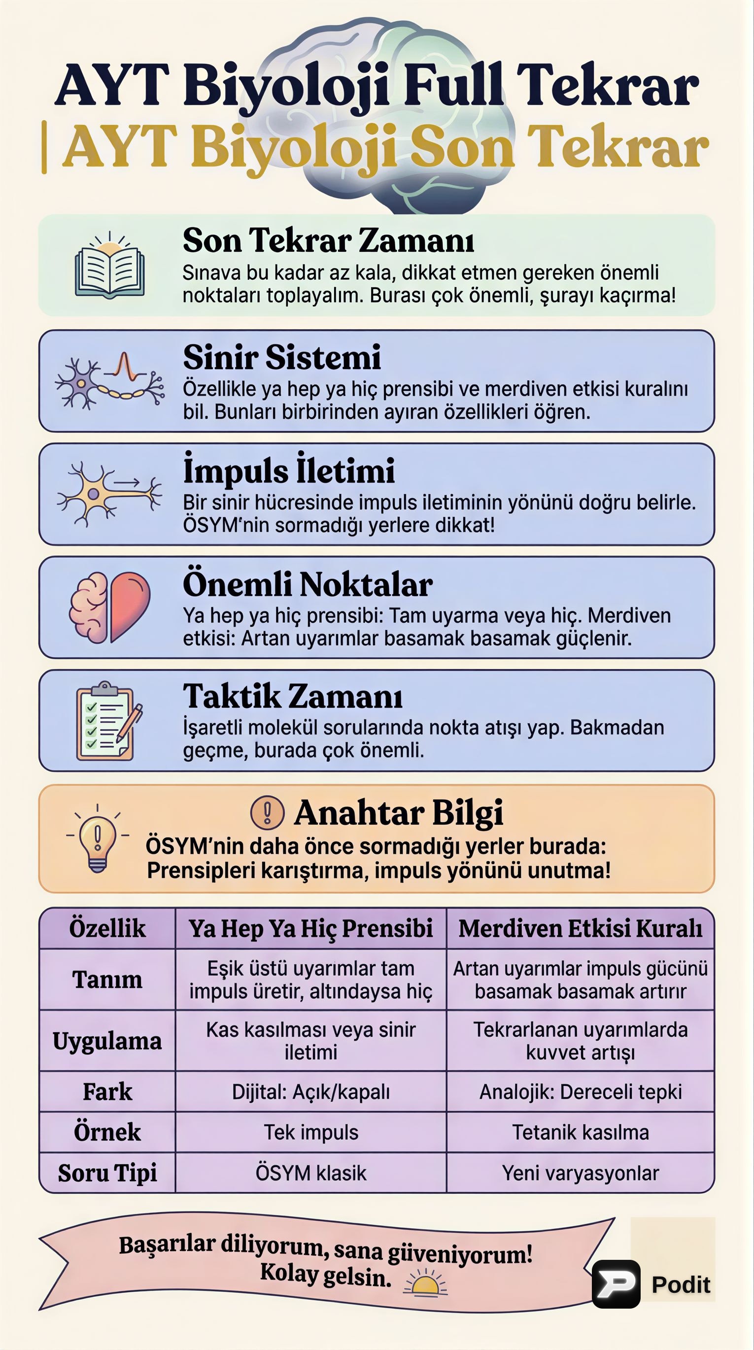 AYT Biyoloji Kapsamlı Tekrar ve Sınav Stratejileri - görsel özet infografik