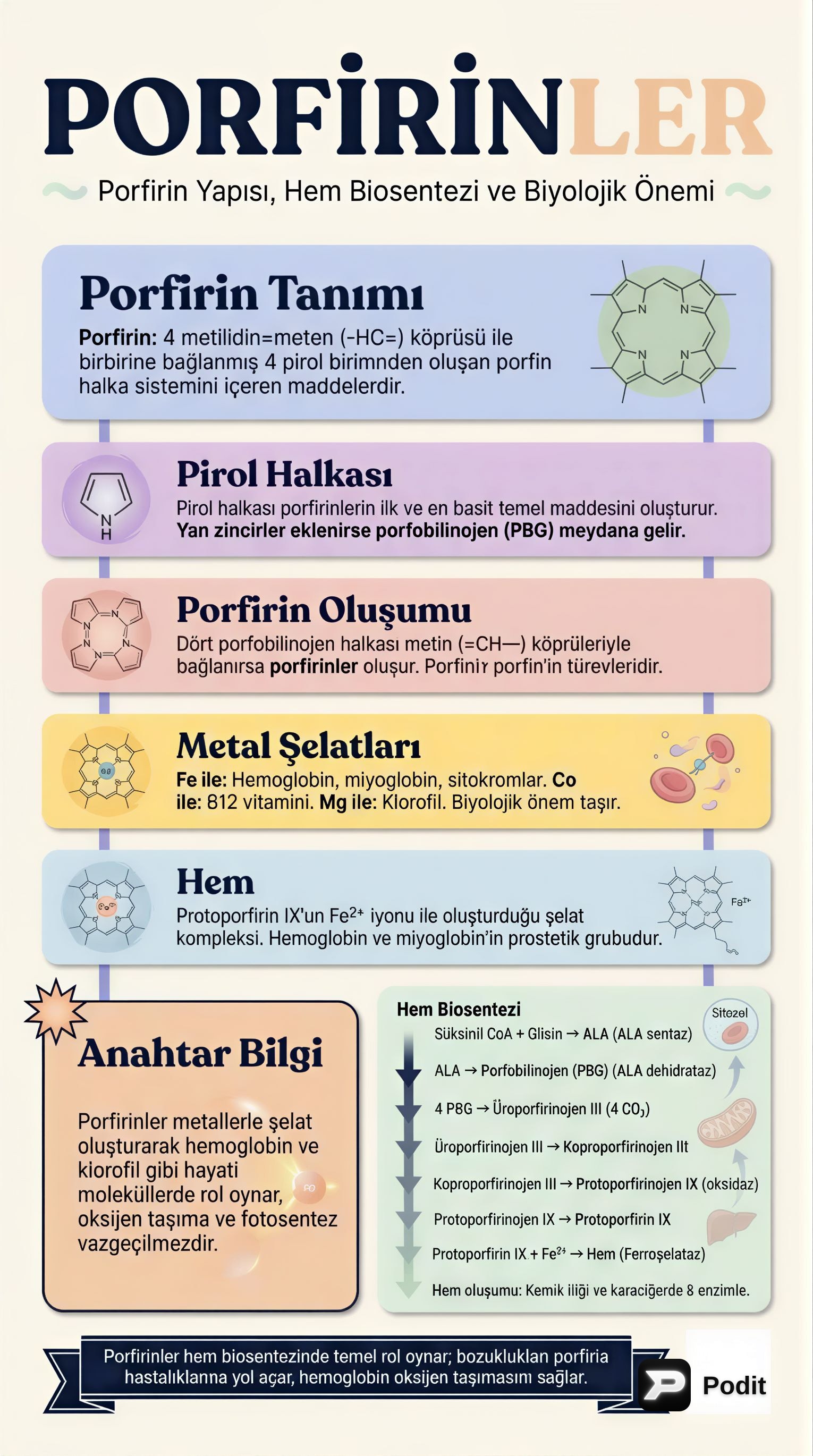 Porfirinler ve Hemoglobin: Yapı, Biyosentez ve Klinik Önemi - görsel özet infografik