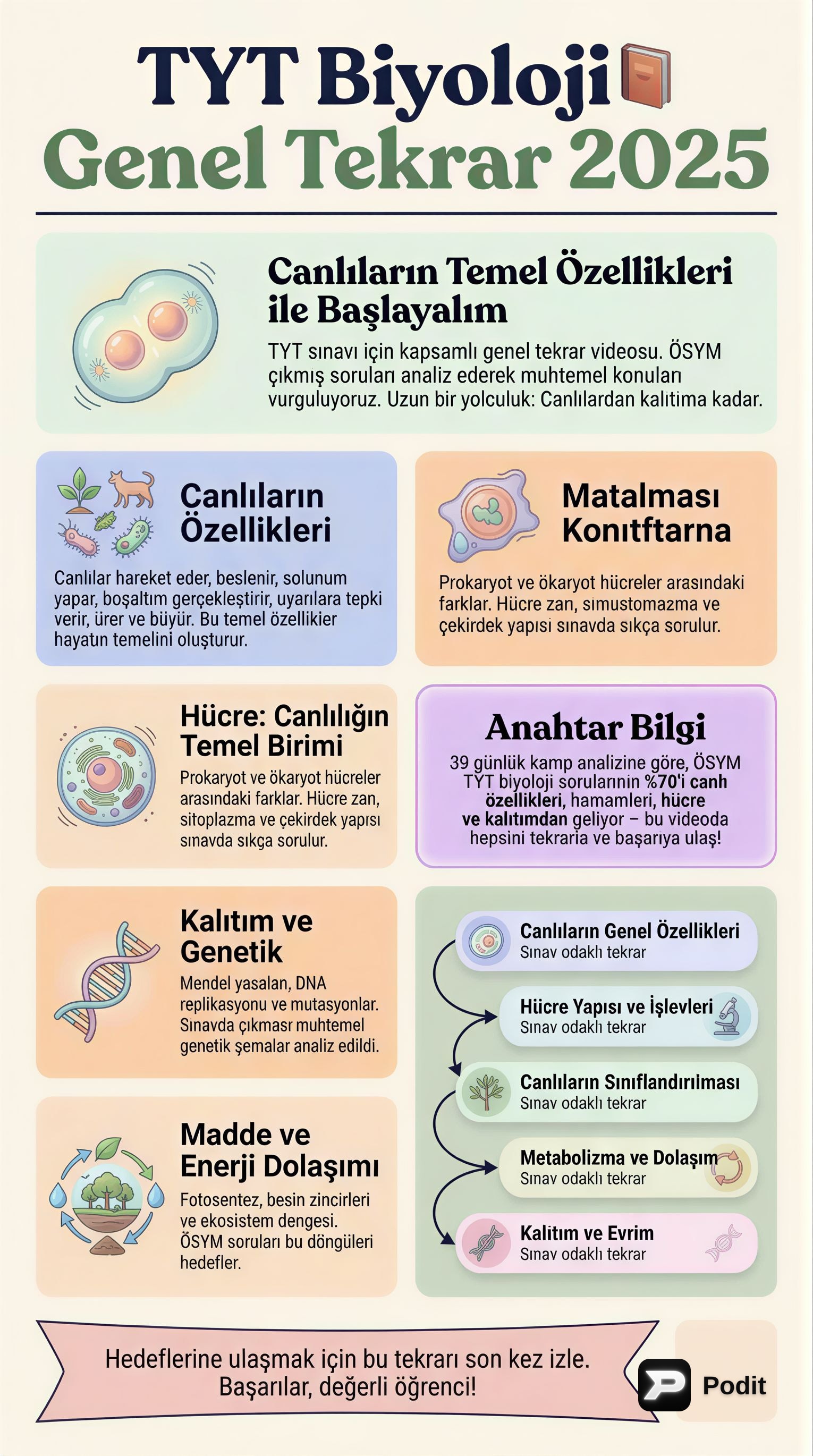 TYT Biyoloji Full Tekrar: Temel Konulara Hızlı Bakış - görsel özet infografik