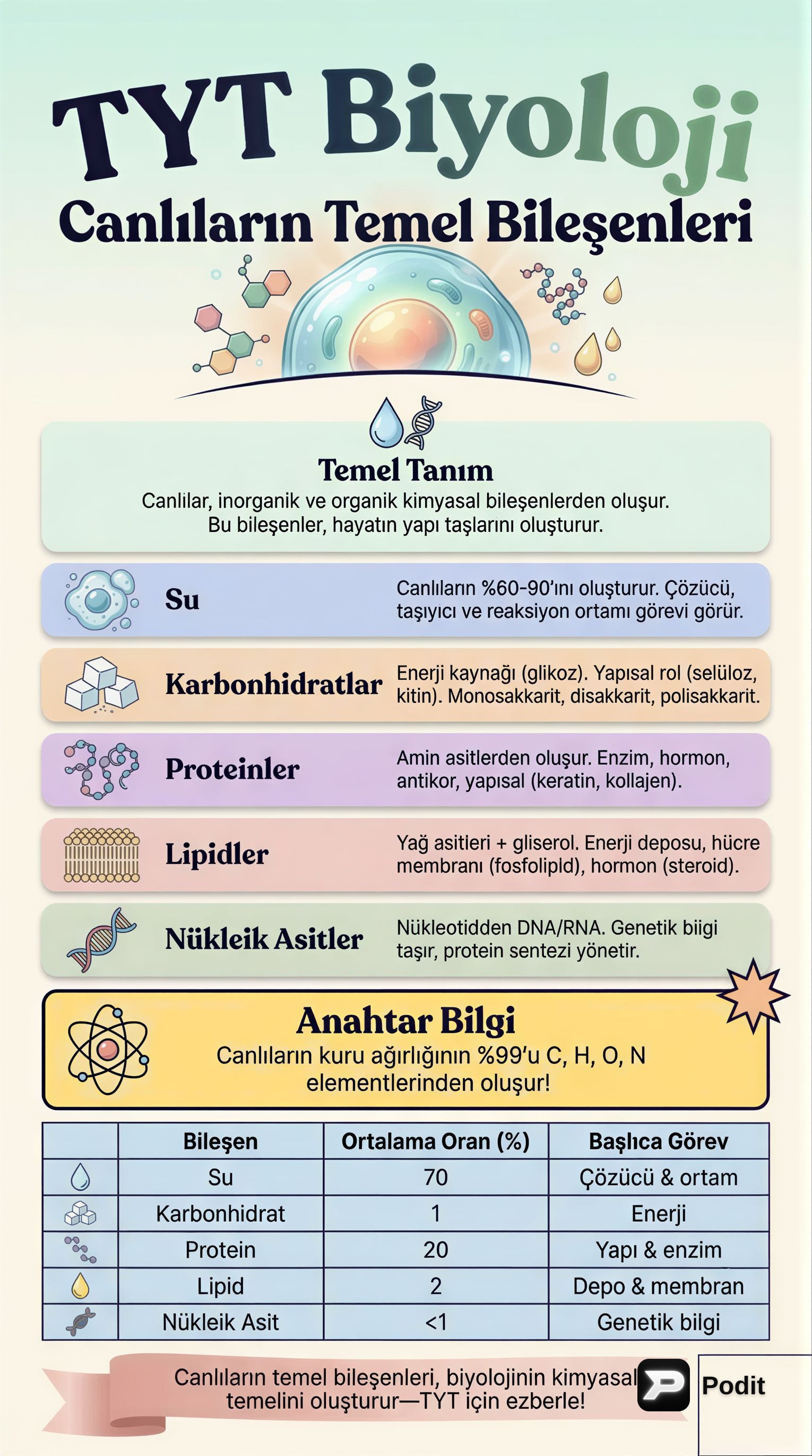 Canlıların Temel Bileşenleri: Yaşamın Yapı Taşları - görsel özet infografik