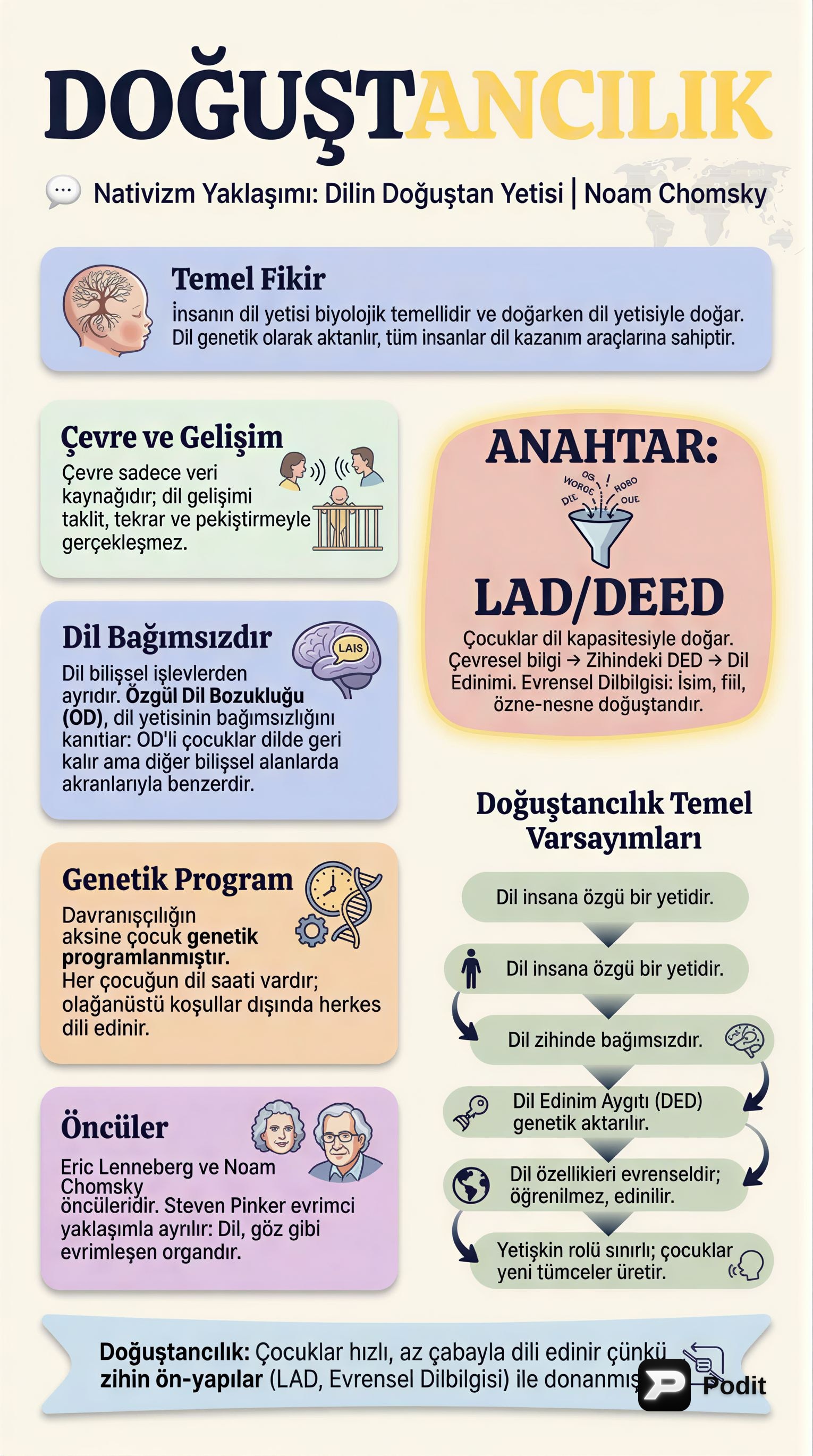 Psikodilbilimde Doğuştancılık Yaklaşımı - görsel özet infografik