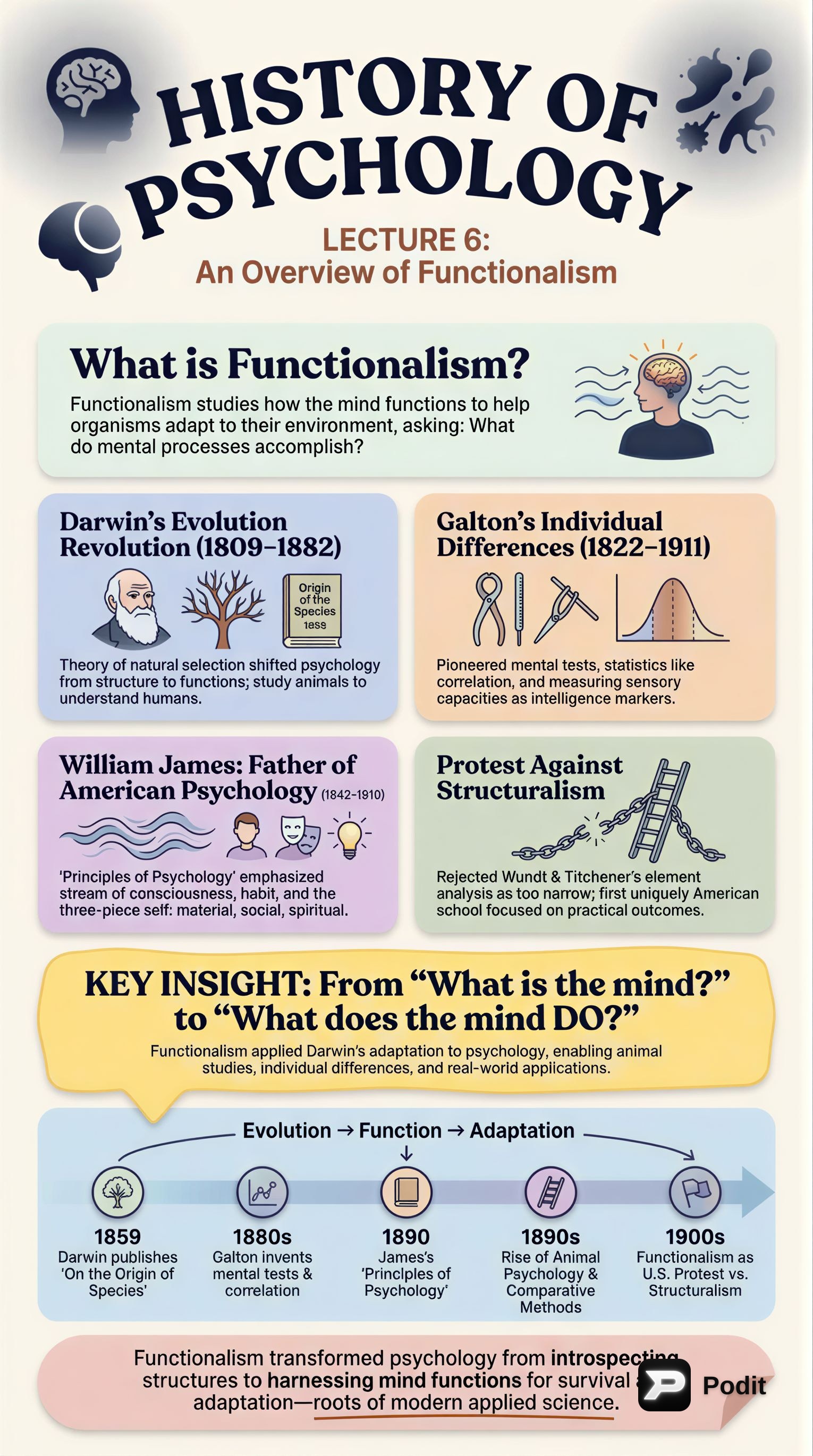 Functionalism in Psychology: Origins and Impact - görsel özet infografik