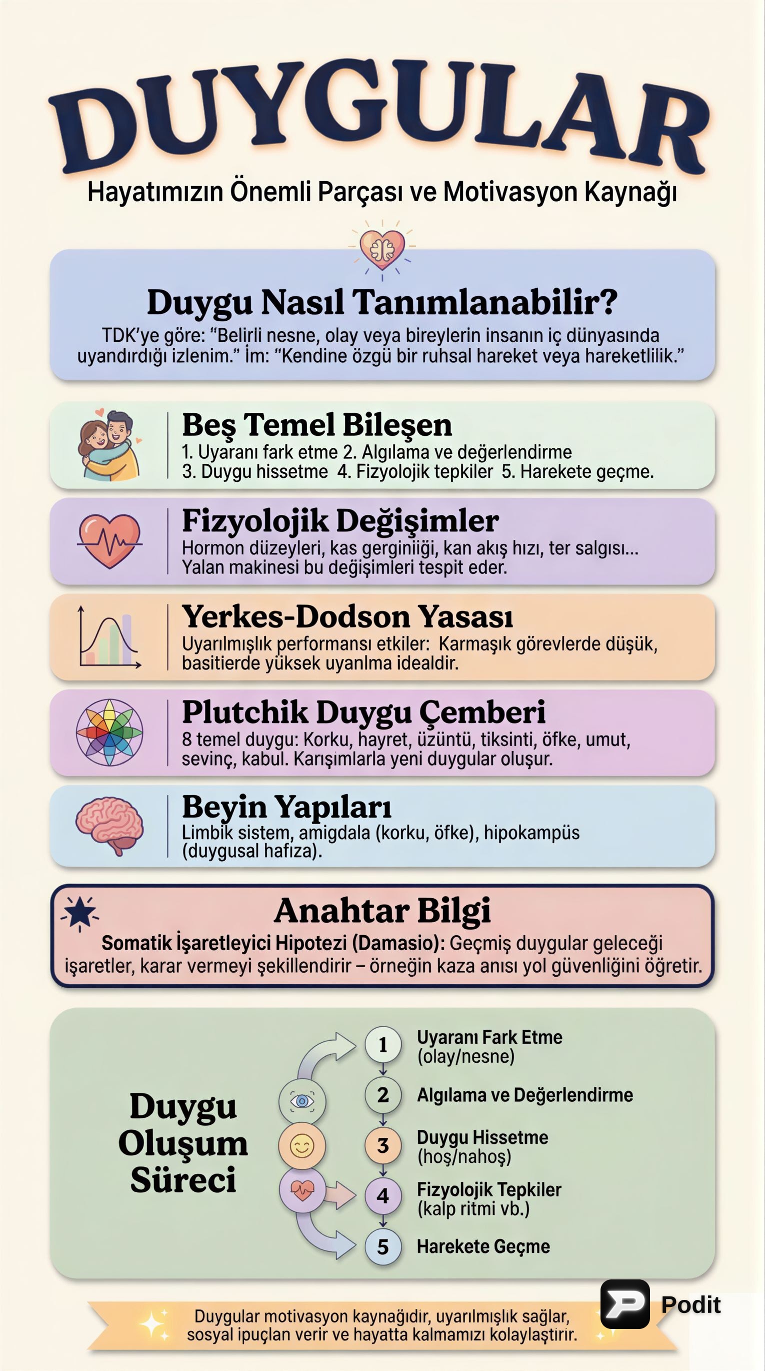 Duyguların Psikolojik ve Biyolojik Temelleri - görsel özet infografik
