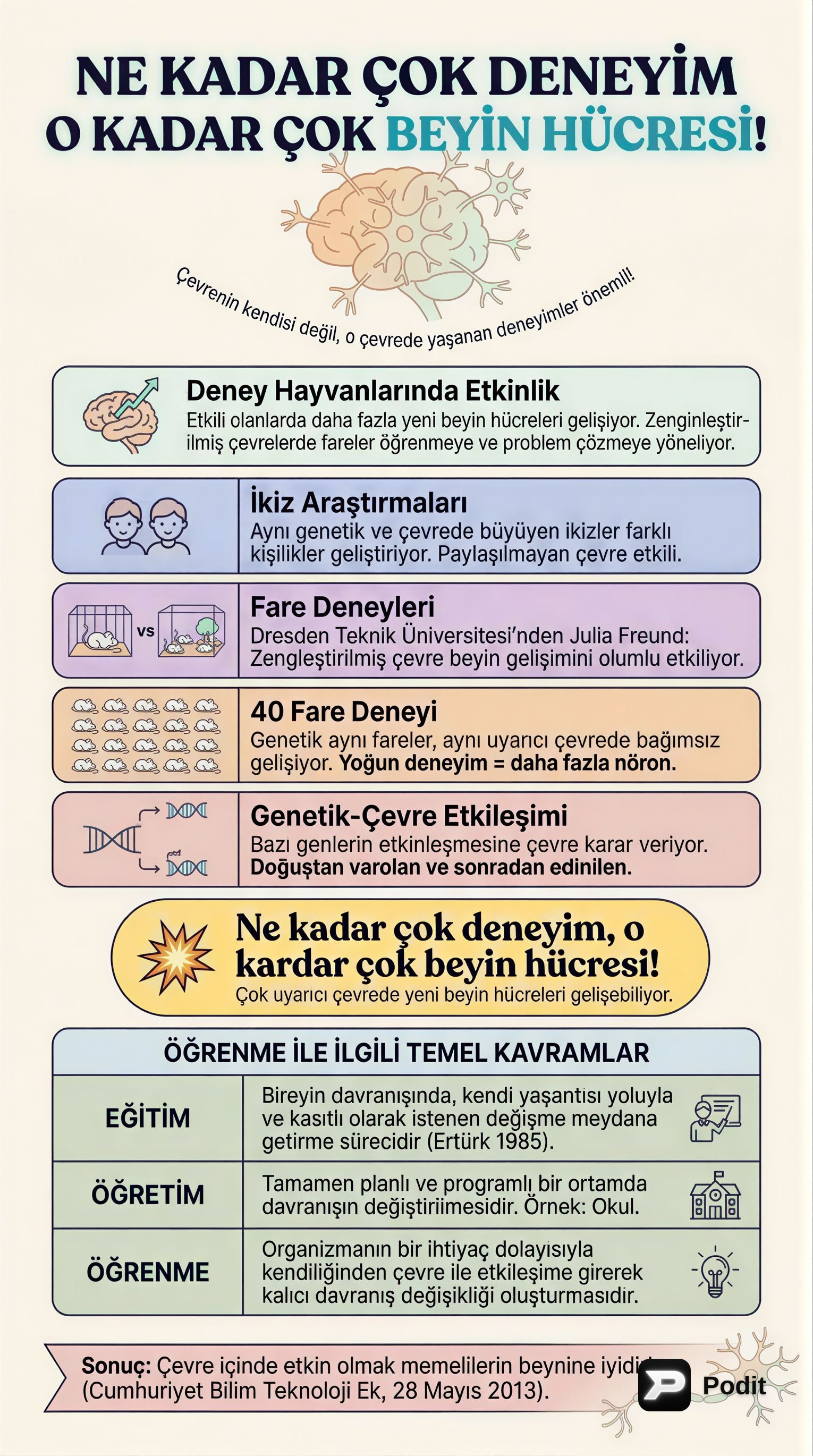 Öğrenme Psikolojisi ve Davranışın Temel Kavramları - görsel özet infografik